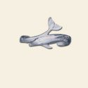 Dolphin Jewelry. 